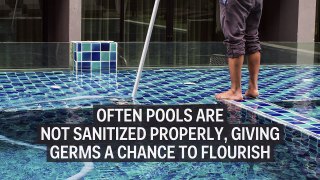 Pools are grosser than you think