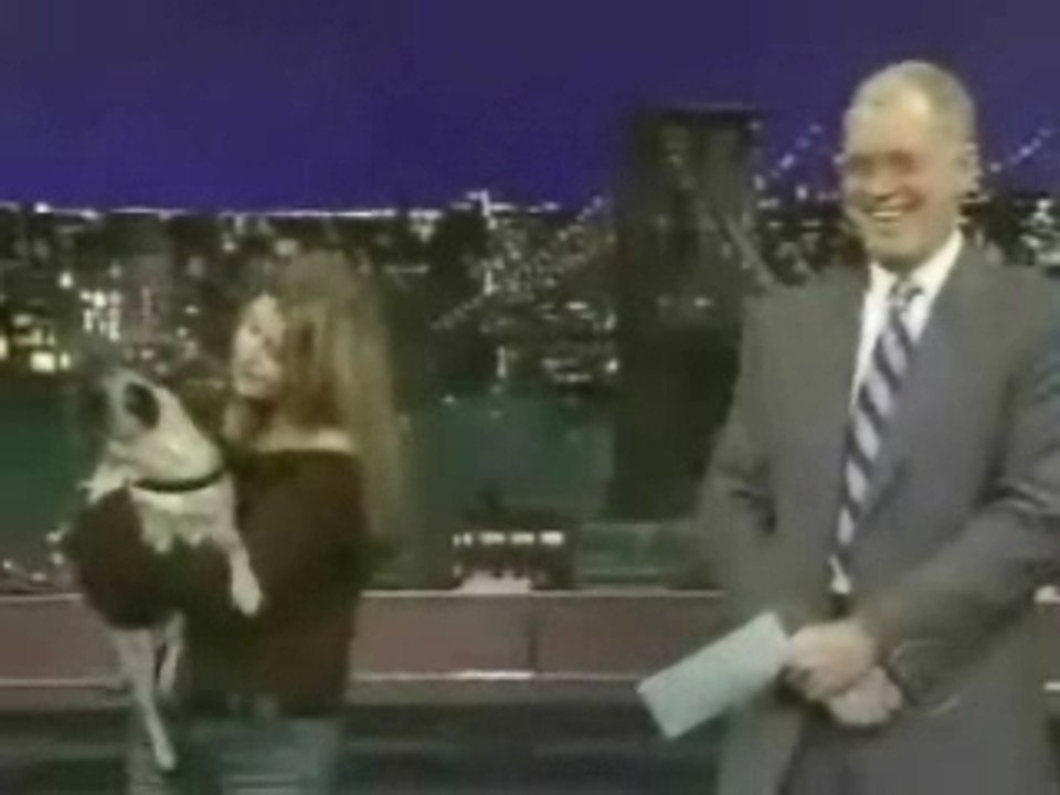 The Dog Compagny-I Love You