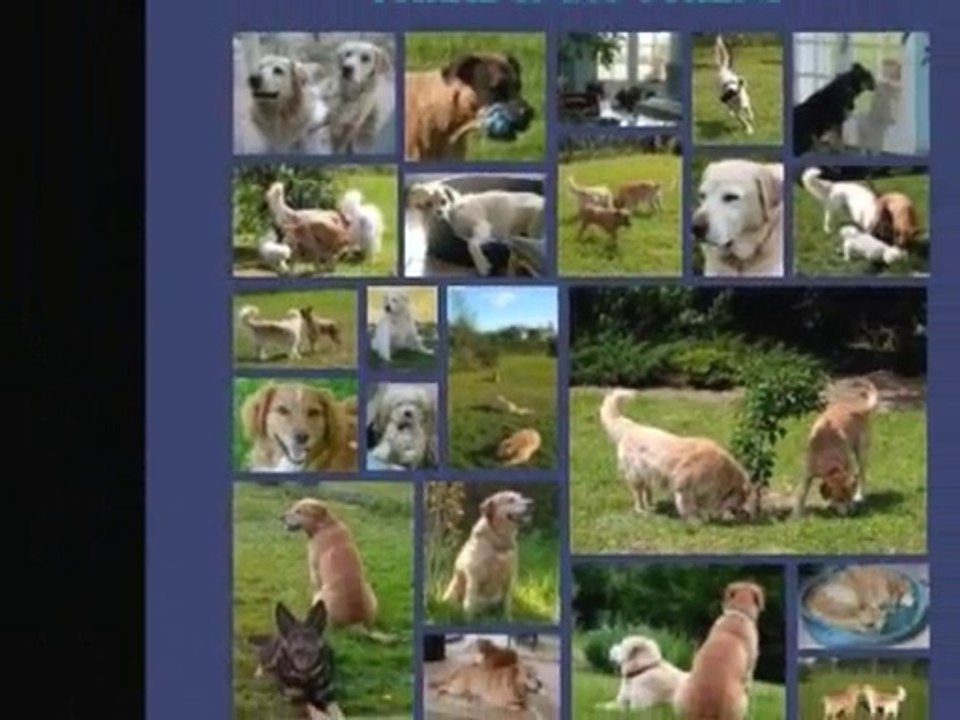 "Dominique,... une Nounou pour nos Loulous."