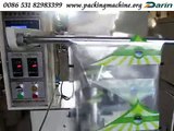 Snacks Food Packing Machine