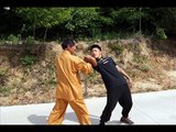 Learn self defense, study professional Chinese martial arts in our kung fu school