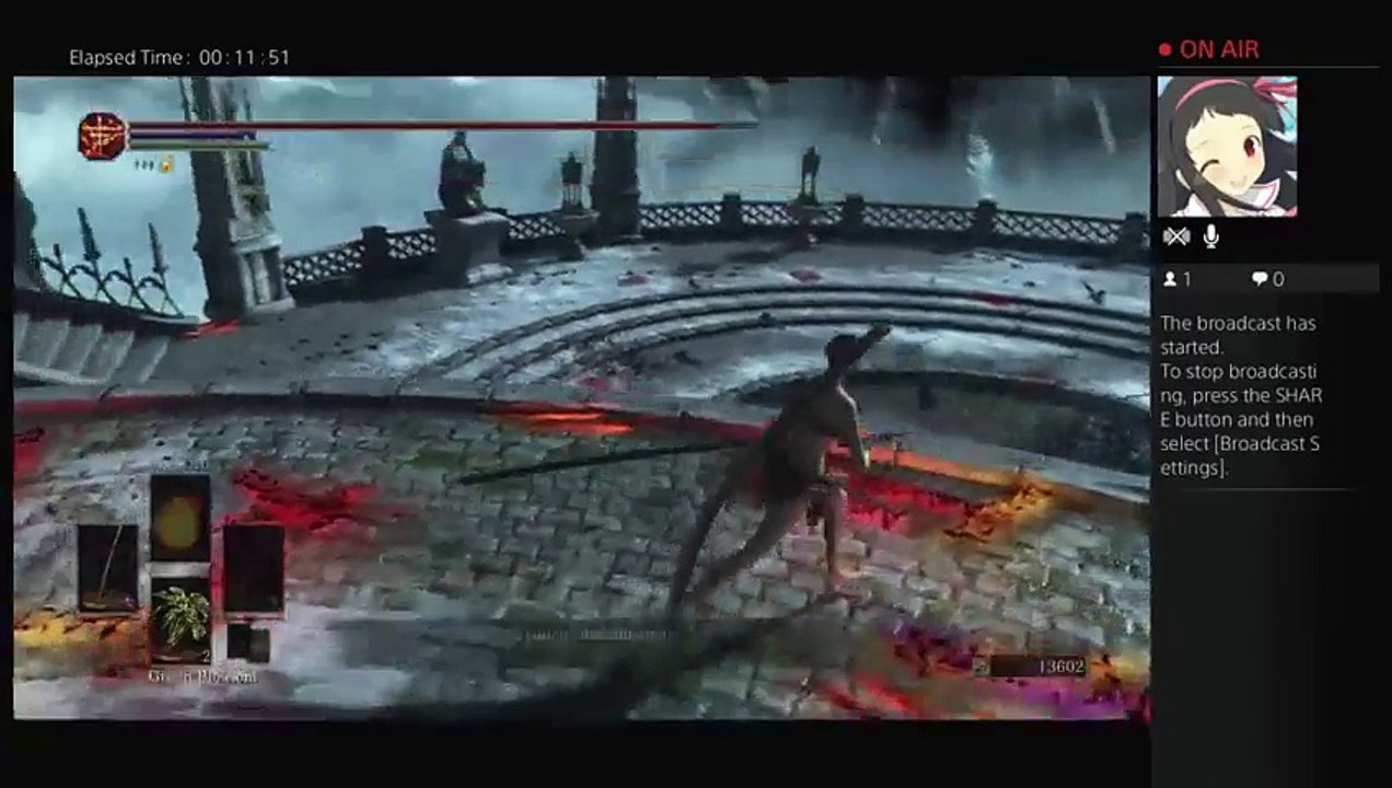 Dark souls pvp circle (2)