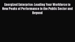 READbookEnergized Enterprise: Leading Your Workforce to New Peaks of Performance in the Public