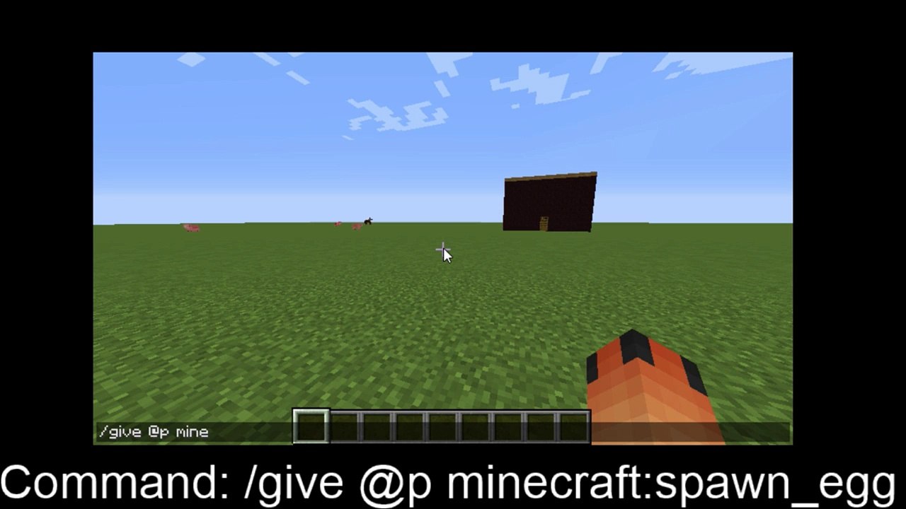 Minecraft | Secret Spawn Egg Item | (1.9.4)