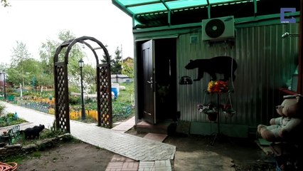 Cette famille vit tous les jours depuis 23 ans avec un ours