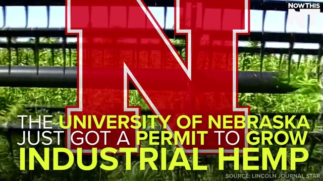 University of Nebraska Gets Permit To Grow Hemp For Research Purposes