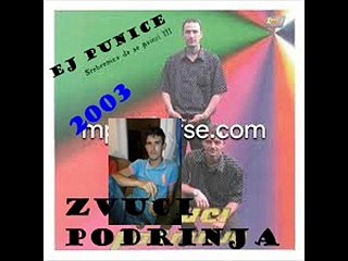 ZVUCI PODRINJA EJ PUNICE Officijal audio 2003