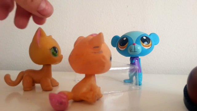 LPS : Hafıza Kaybı (Açıklamayı Okuyun)