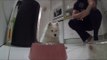 Samoyed Puppy Learns to Wait Before Getting Food