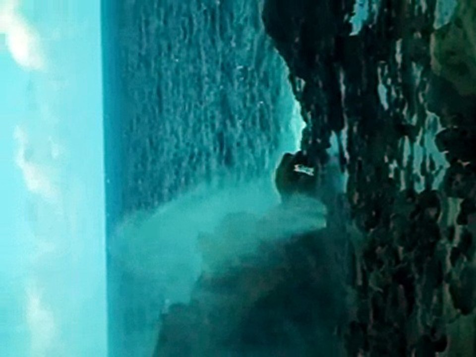 El Cachafaz en Maui 24