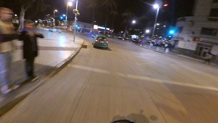 Polite Dog Uses the Crosswalk