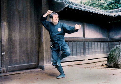 Masaaki Hatsumi Bujinkan Dojo