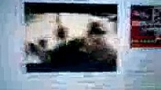 None (Video012.mpeg) - March 15, 2008, 01:28 AM