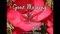 Good Morning Wishes,Good Morning Greetings,Wallpapers,E-card,Good Morning Whatsapp video