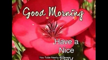 Good Morning Wishes,Good Morning Greetings,Wallpapers,E-card,Good Morning Whatsapp video