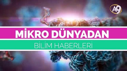 En Küçük Bakteriler Görüntülendi