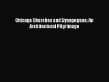 PDF Chicago Churches and Synagogues: An Architectural Pilgrimage Ebook