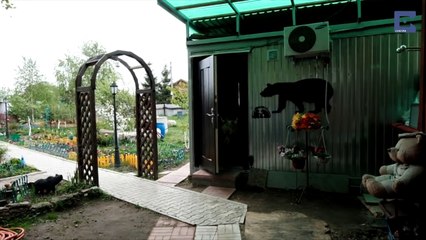 Огромный медведь живёт в русской семье