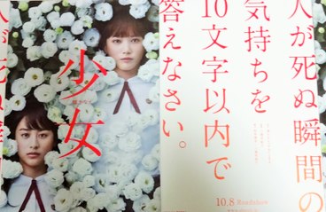 少女 (A) (2016) 映画チラシ 本田翼 山本美月