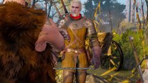 EPIC FIGHT !!!! (The Witcher 3 Wild hunt)