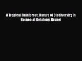 Read Books A Tropical Rainforest: Nature of Biodiversity in Borneo at Belalong Brunei ebook