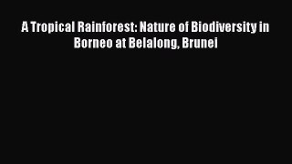 Read Books A Tropical Rainforest: Nature of Biodiversity in Borneo at Belalong Brunei ebook