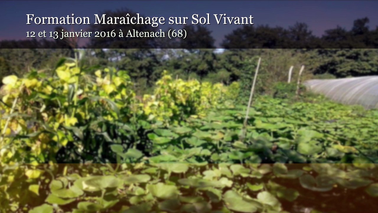 Formation MSV K Schreiber 01/2016 - Partie 7 La légumineuse