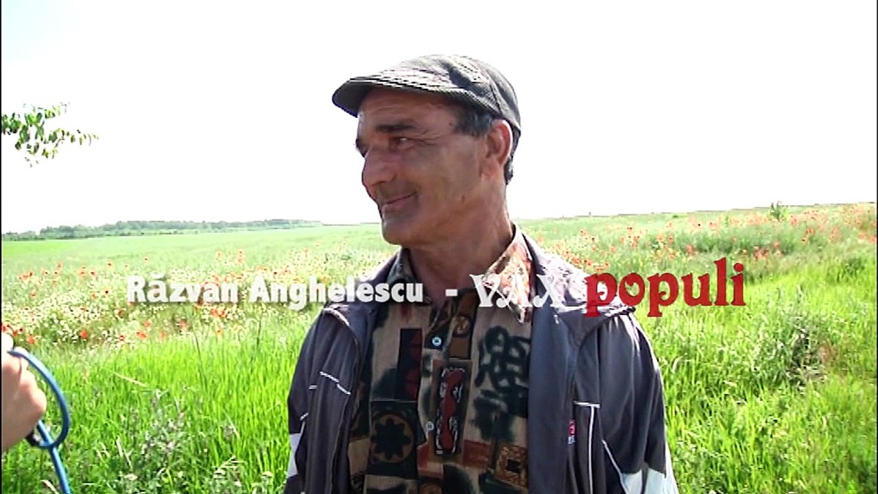 E BINE SĂ VOTEZE MORȚII LA ALEGERI?