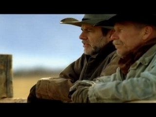 SuperBowl 2006 Budweiser SuperFan(Streaker)