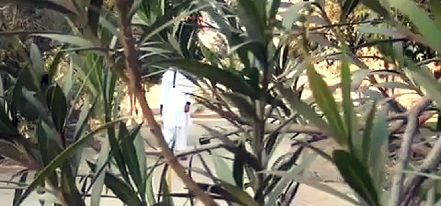 video_2
