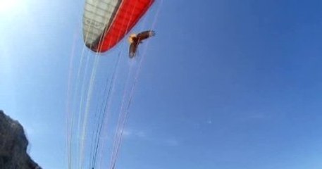 Yamaç Paraşütçüsü Kartal Saldırısına Uğradı