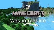 If Minecraft Was in real life