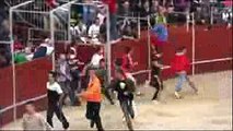 Bullfighting funny videos 2016 -   bullfighting festival  - Crazy bull attack people