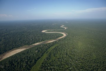 Top Ten Largest Forests Around the World