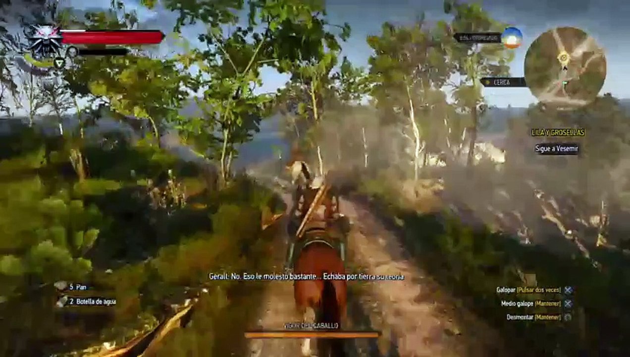 The Witcher3 (30)