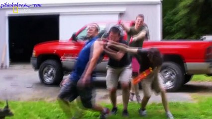 Ahmak Bilimi-İnsan Balona Karşı