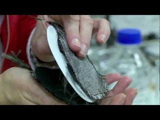 Sweden, leading the world in innovation