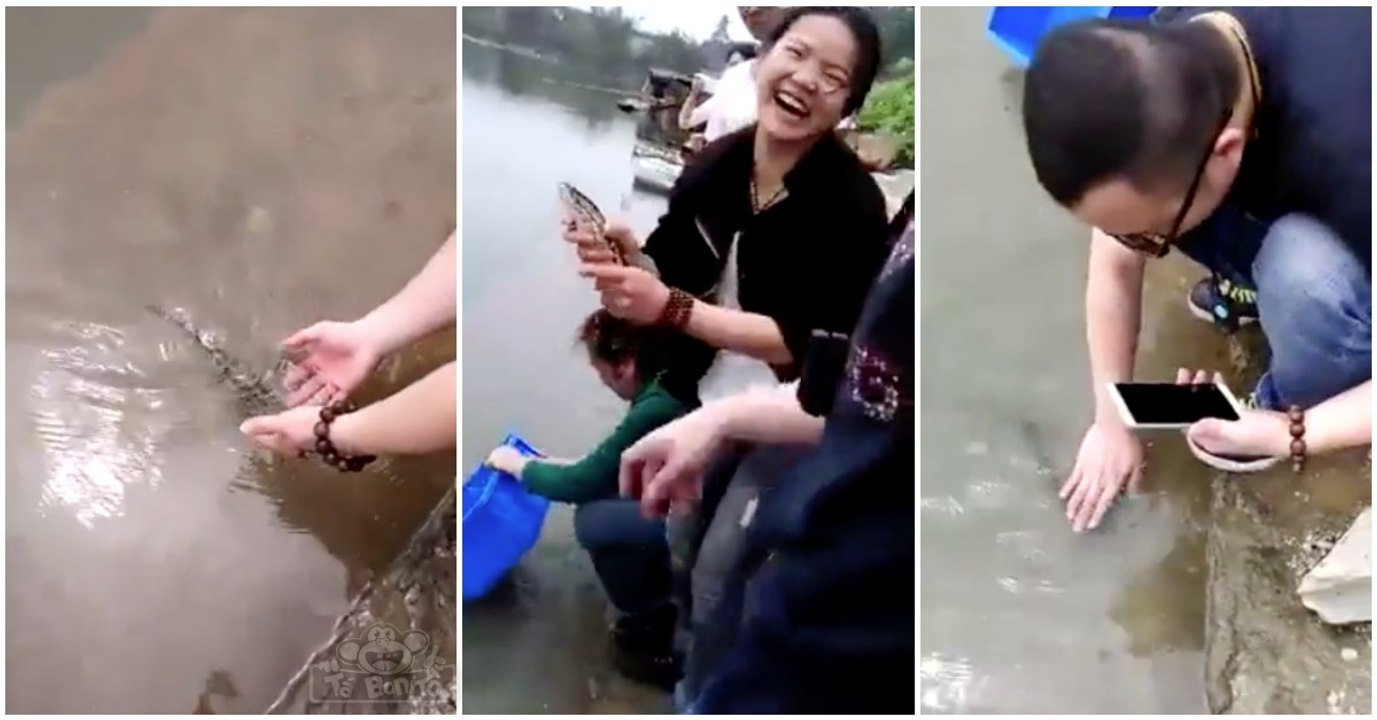 Um peixe que definitivamente ama brincar com humanos...