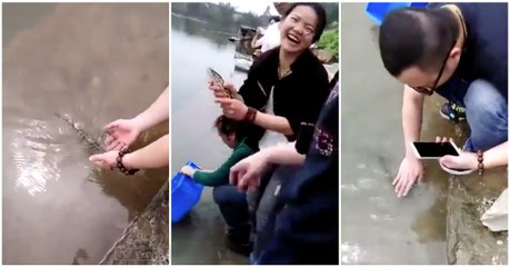 Um peixe que definitivamente ama brincar com humanos...