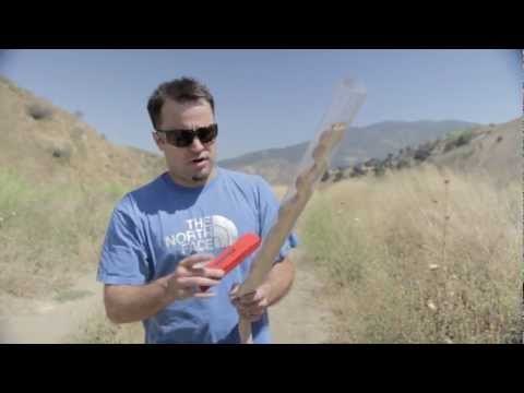 Career Profiles - Biology