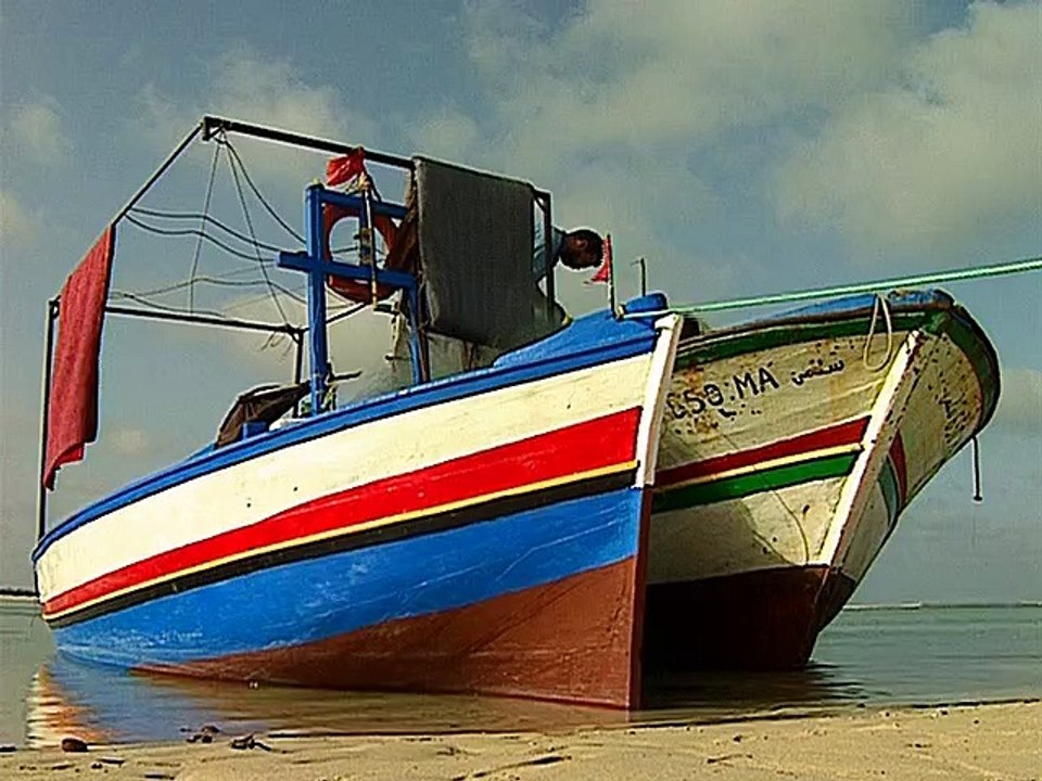 Tunisie - La mer et le désert