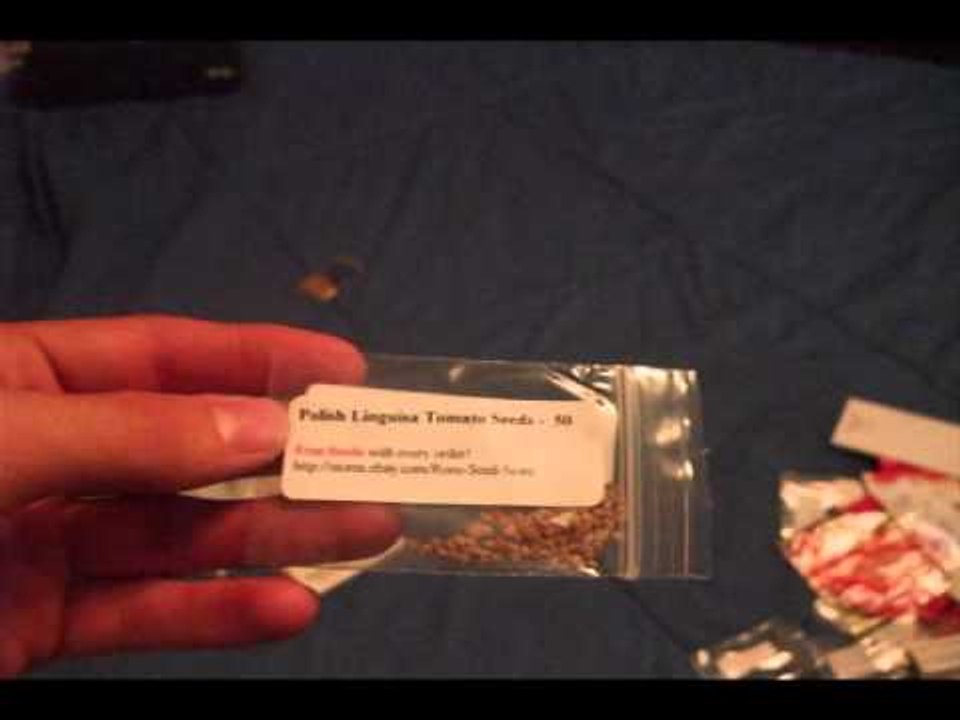 Tomatoes Tomatoes Tomatoes!