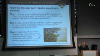 Local & Regional Policy & Management: Cities and Spatial Planning