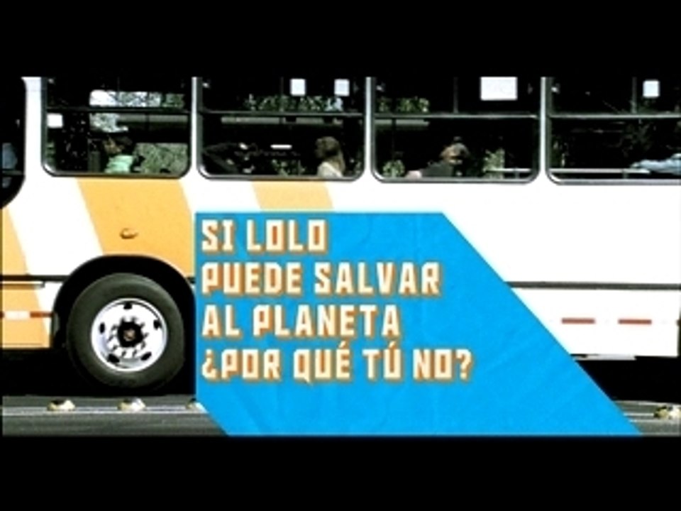 Bus