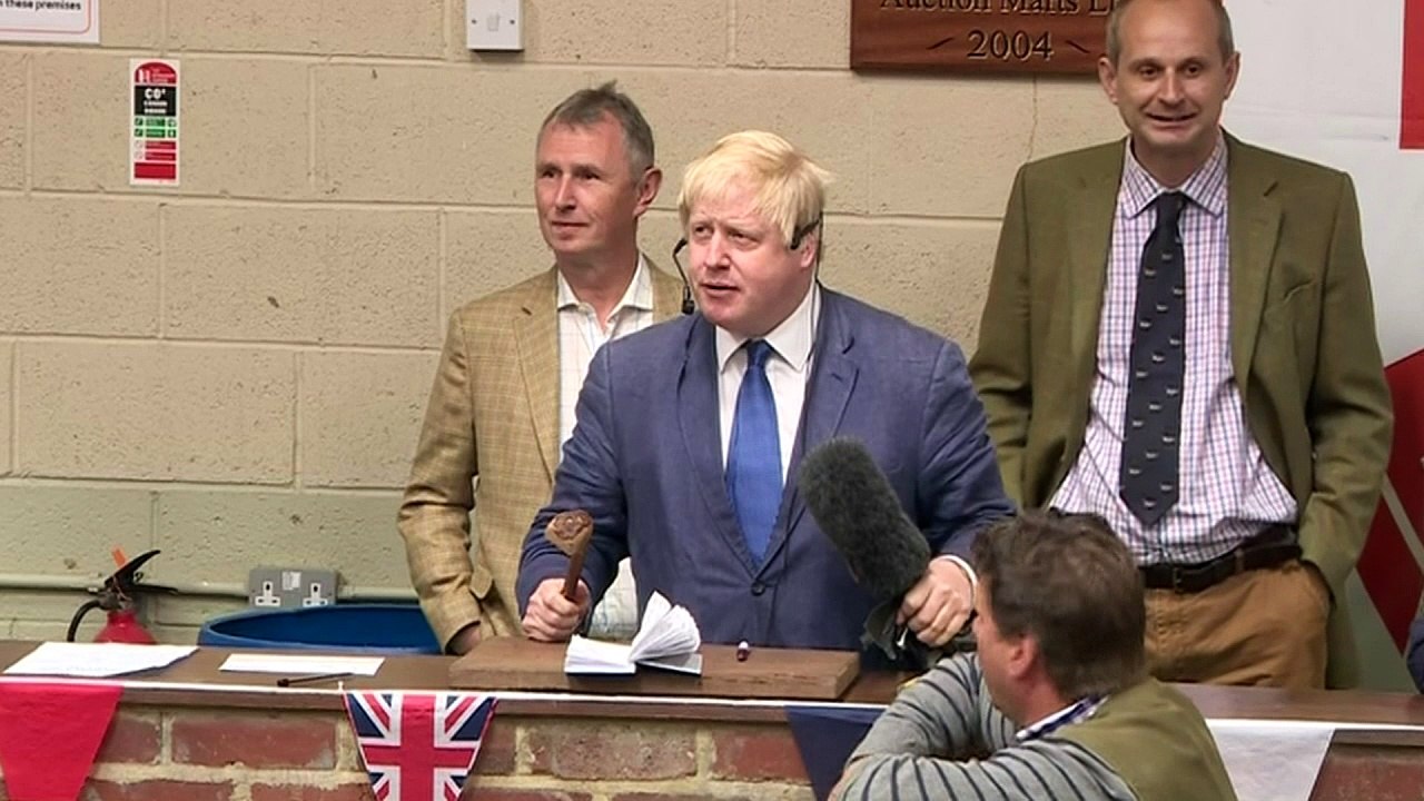 Boris auctions cow for £960