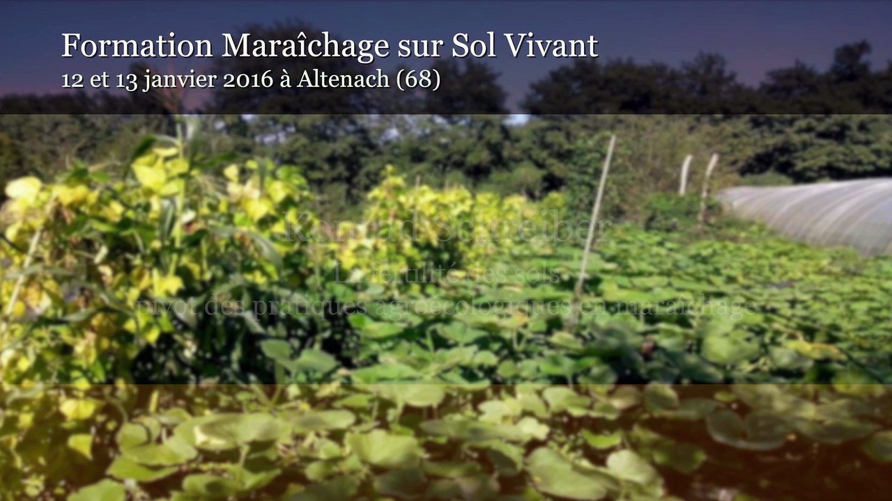 Formation MSV K Schreiber 01/2016 - Partie 11 Comment construire un système de culture, exemple de couvert