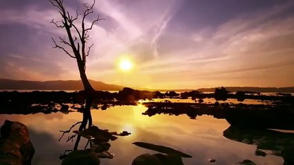 Andaman Tour Packages with Thomas Cook