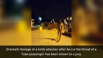 Leytonstone Tube knifeman filmed after cutting man's throat