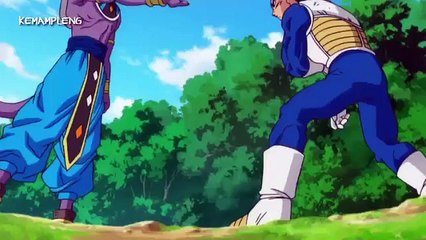 Dragon ball battler  of  god  vegeta vs beerus