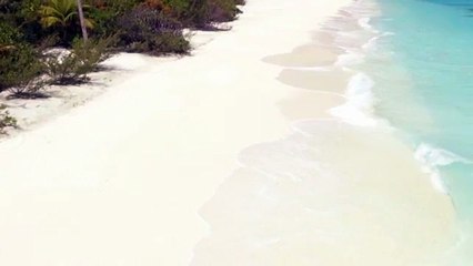 Buy Best Quality Raw Manuka Honey